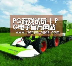 关于PG游戏试玩