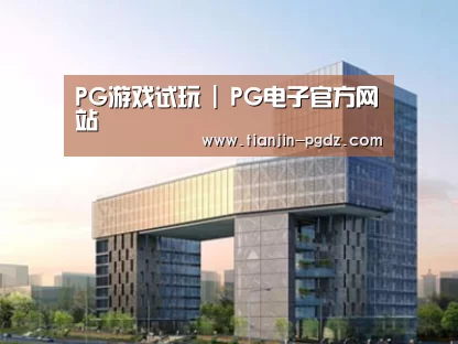 案例展示四