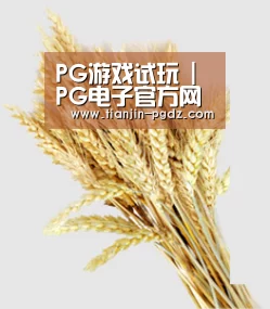 PG游戏试玩 | PG电子官方网站